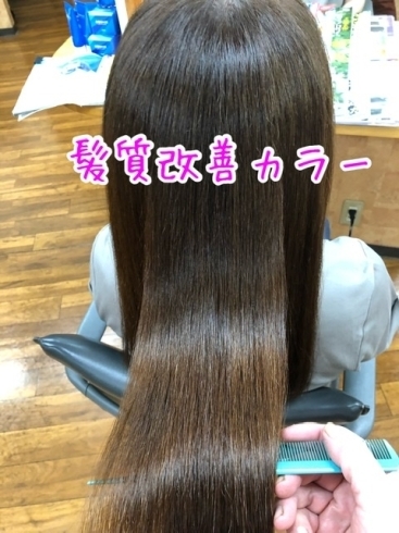 10歳若返るヘアカラー 白髪染め へアーズ サエミのニュース まいぷれ 佐世保