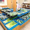 「道の駅木曽福島 直売所 春の七草セット販売中！」