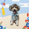 「Dog salon mofu mofu　余市町」