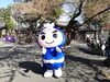 スパットマンにも会えました！「おいらん道中さくら絵巻に行って来ました！」