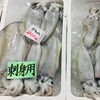 「魚魚市場鮮魚コーナーおすすめは「活ハマチ・伊勢エビ」です♪」