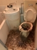 「汚トイレ清掃(閲覧注意)」