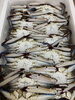 「鮮魚パックいろいろ販売中‼️〆鯖も販売致します🐳」