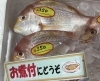 「魚魚市場鮮魚コーナーおすすめは「エビスダイ」です♪」