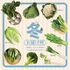 「創業74年のプロが厳選！舞鶴産の旬のおまかせ野菜BOX🥕🥬」
