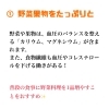 「高血圧の予防」