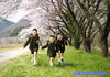 「桜🌸ロケーション撮影、絶賛撮影中‼️」