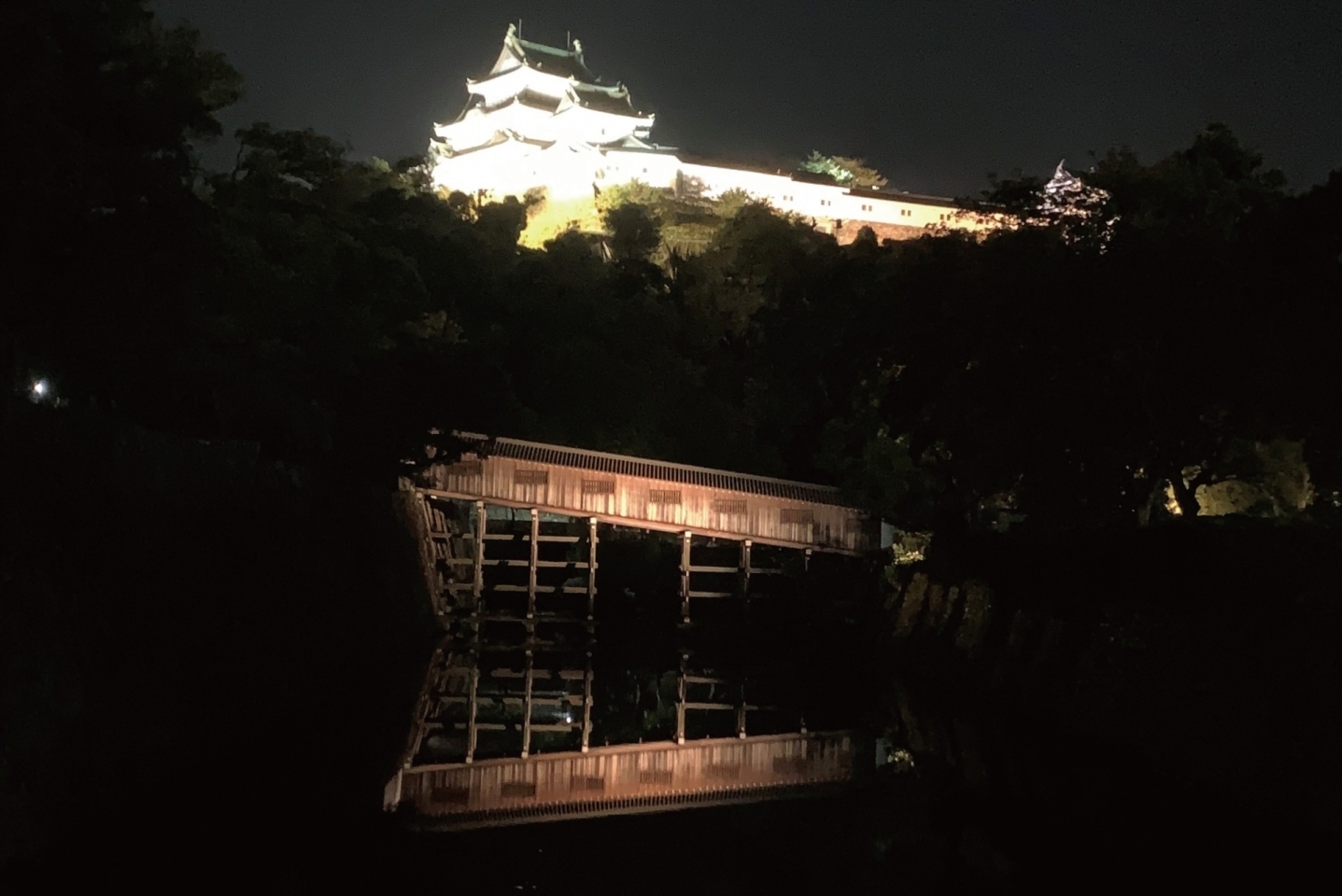 夜桜と居酒屋 和歌山城ナイトスポット 和歌山市おすすめ観光スポット 和歌山 お出かけ先 観光スポット特集 まいぷれ 和歌山市 夜桜と居酒屋 和歌山城ナイトスポット 和歌山市おすすめ観光スポット 和歌山 お出かけ先 観光スポット特集 まいぷれ 和歌山市