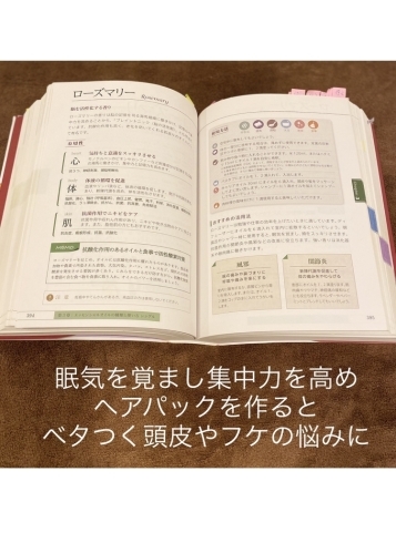 ローズマリーの説明「母の日のプレゼントに！　お料理にも使えるアロマをプレゼント」