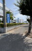 After　除草作業完了！朝の短時間で終了！！「早朝除草作業」