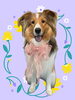 「Dog salon mofu mofu　余市町」