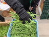 夏野菜フェア‼️200円‼️「メロンフェア‼️」