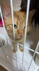 カイくん「8月ご利用頂きましたお客様③【 札幌市 北区 catbeard キャットビヤード⠀】」