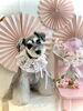 サクちゃん「Cherry blossom🌸」