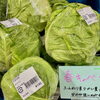 「信州山形村産 春掘り「長芋」入荷しました！」