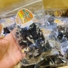 「本日は、岩手県産「乾燥きくらげ」です！！」