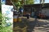 へら鮒 水光園 初心者から達人まで楽しめる鮒釣りで有名 編集部選 気になる店舗特集 しろいまっち 白井市