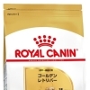 RC BHN ゴールデンレトリバー　成犬~高齢犬　12kg