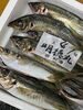 「ホームページはこちら🔗iwafunegyokou.com」