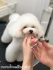 カット中ネムネムさん(*´꒳`*)「秋のオプションキャンペーン　（＾ν＾）」