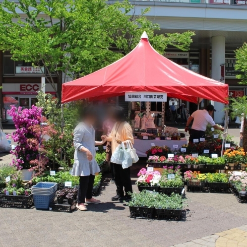 「第26回 春の園芸フェスタ【川口市のイベント情報】」