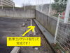 防草コンクリートを打って完成です!(^^)!「いろいろなお仕事紹介（除草対策編）：　防草コンクリート工事～島根県出雲市」