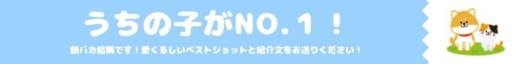 あなたのご家族（ワンちゃんネコちゃん他）を自慢してください！