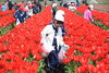 「【サンデーいわふね】4月27日号の主な内容は…」
