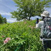 見頃を迎えたササユリにお客様大感動♪♪☺️「梅雨の合間の絶景登山⛰️🌺 【茅野市/整体×運動で健康アップ】」
