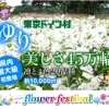 【東京ドイツ村】フラワーフェスティバル