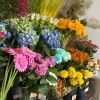 【2月3日開店】袖ケ浦市福王台　flower shop irodori