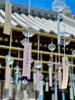 「本日の境内の様子です」