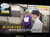 現在の畑の様子をリポート🎤「☆カラフル野菜の小山農園『ZIP!』、無事にオンエア📺☆」