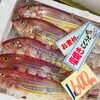 「魚魚市場鮮魚コーナーおすすめは「白魚・殻付き牡蠣」です♪」