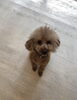 ネムくん「こんばんは^o^」