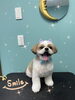 「わん♡ Dog salon mofu mofu 余市町」