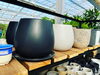「インテリアポット入荷！【福島市　観葉植物専門店】」