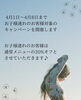 「【愛知県江南市】腸もみ 頭ほぐし よもぎ蒸し Minico」
