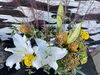 個性的な法要花をとても喜んで下さいました「17回忌に」