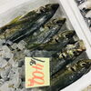 「魚魚市場鮮魚コーナーおすすめは「アジ」です♪」