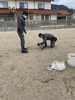 「里方町の新築住宅　No.1」