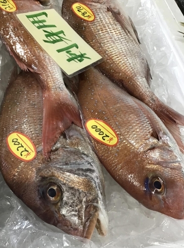 「魚魚市場鮮魚コーナーおすすめは「特価‼️トビウオ」です♪」