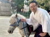 ポニーと楽しく触れ合える「第2回くまのこどもまつり」（熊野祭