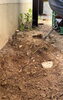 庭木抜根「和歌山市で庭木の抜根作業｜根っこからしっかり撤去しました」