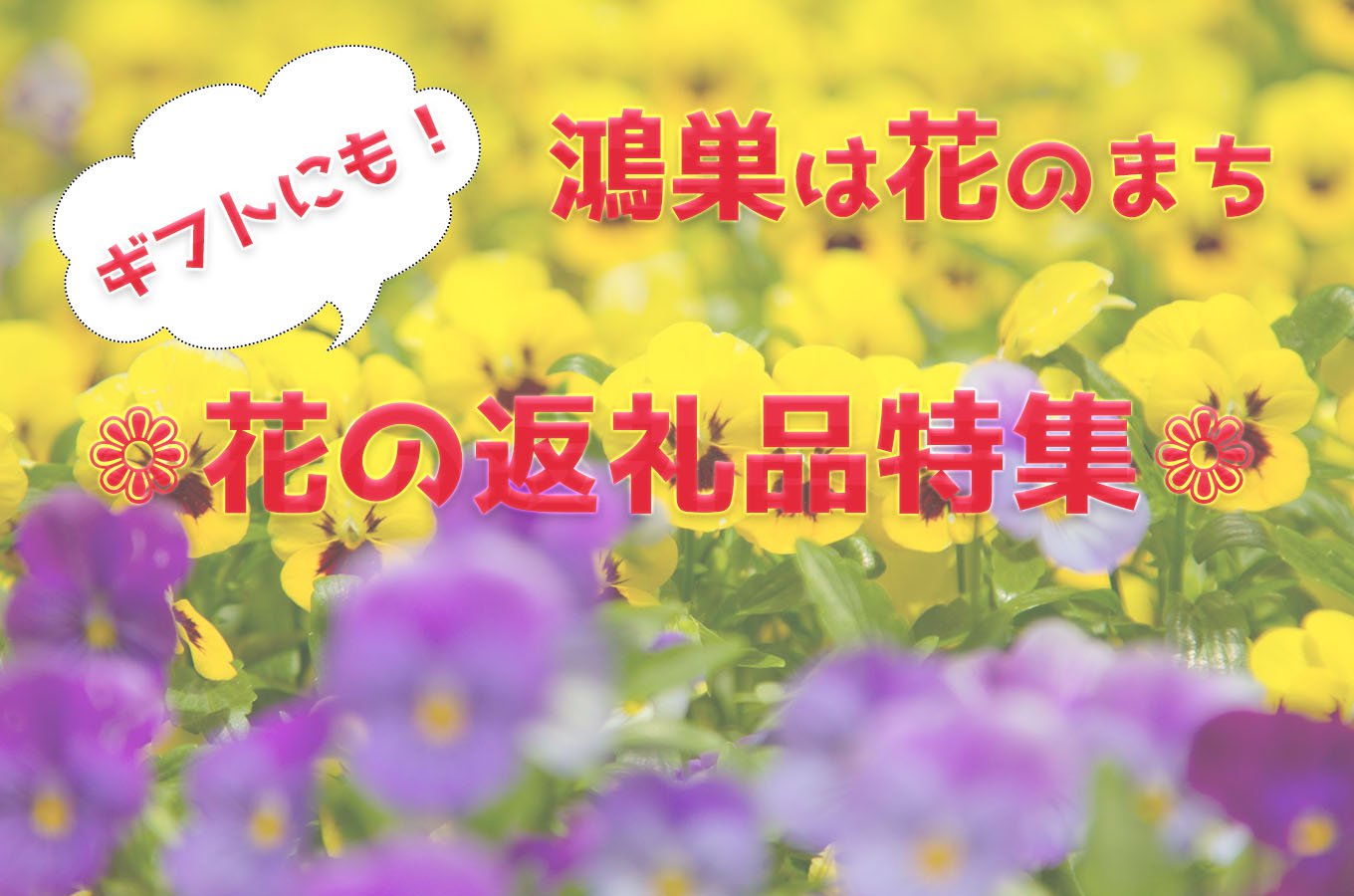 鴻巣市花組合 花苗各種 ふるさと納税で日本を元気に 鴻巣市 こうのす広場 鴻巣市 鴻巣市花組合 花苗各種 ふるさと納税で日本を元気に 鴻巣市 こうのす広場 鴻巣市