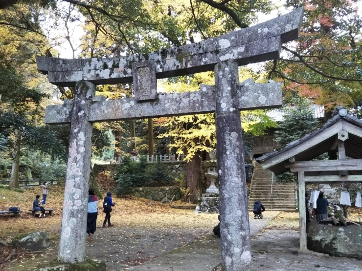 雷（いかづち）神社