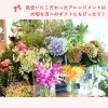 「Flower shop hanamo【トリコカワグチ掲載店のご紹介】」