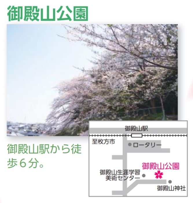 御殿山公園の桜 特集 枚方市のお花見スポット まいぷれ 枚方市 御殿山公園の桜 特集 枚方市のお花見スポット まいぷれ 枚方市