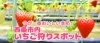 21年 今が一番おいしい季節 西条市内いちご狩りスポットまとめ 西条 まとめのまとめ まいぷれ 西条市