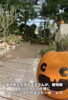「🎃植物園がハロウィンに🎃【福井韓国風カフェ Hugpopo ハグポポ】」